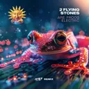 Are Frogs Electric - MI37 Remix Edit by MI37, 2 Flying Stones - Hardstyle cover art
