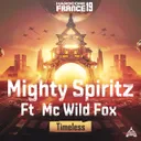 Hardcore France 19 - Timeless by Mighty Spiritz, Wild Fox - Hardstyle cover art