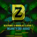 Insanity - 8D Audio by Mindblast, Ryan T, Beatpumpz - Hardstyle cover art