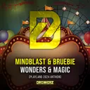 Wonders & Magic (Playland 2024 Anthem) by Mindblast, DROKKERZ, Bruebie - Hardstyle cover art