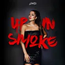 The Poison - N-Vitral Remix by Miss K8, N-Vitral - Hardcore cover art