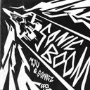 Sonic Boom by MJU, Sonicz - Hardstyle cover art