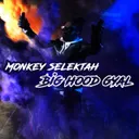 Big Hood Gyal - Raggacore by Monkey Selektah - Frenchcore cover art