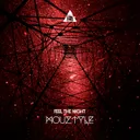 Feel The Night by Mouztyle - Hardstyle cover art