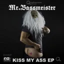 I Fck You in the Streets by Mr. Bassmeister - Frenchcore cover art