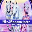 lieb dich nicht - Mr.Bassmeister Remix by Mr. Bassmeister, BOBO GRIMM - Frenchcore cover art