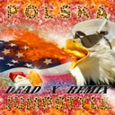 POLSKA JUMPSTYLE - Dead X Remix by Mr. Polska, Dead X - Uptempo cover art