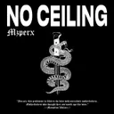 No Ceiling by Mzperx - Hard Techno cover art