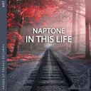 In This Life by Naptone - Hardstyle cover art