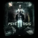 Psychosis by Ncrypta - Rawstyle cover art