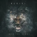 Into the Light by Nebiri - Hardstyle cover art