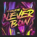 Cover of Never Bow