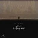 Cover of Never Ending Hole