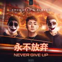 Cover of Never Give Up