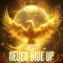 Cover of Never Give Up
