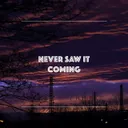 Cover of never saw it coming
