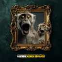 Cover of NEVER STOP