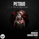 A Time In The Future - Niereich Remix by Niereich, Petduo - Hard Techno cover art