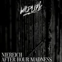 Afterhour Madness - Original Mix by Niereich - Hard Techno cover art