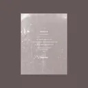 Placebo Effect - DJ Emerson Remix by Niereich, DJ Emerson - Hard Techno cover art