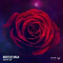 Take My Love - Radio Edit by Nightlife Ninja - Hardstyle cover art