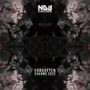 Forgotten Charms 2022 - Extended Version by Nitram DJ - Hardstyle cover art