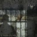 Wall by Nitrogenetics - Hardcore cover art