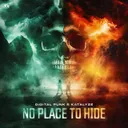 Cover of No Place To Hide
