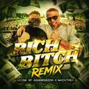 Rich Bitch - Remix by Noise Of Aggression, Maintrex - Uptempo cover art