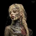 Beyond The Void by Nosferatu - Hardcore cover art