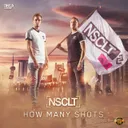 How Many Shots by NSCLT - Hardstyle cover art