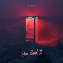 You Said It by Nutrix - Hardstyle cover art