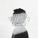 What I Need by OBKicks - Hardstyle cover art