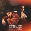Amazing INNA - Remix by OGUZ - Hard Techno cover art