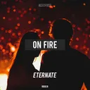 Cover of On Fire