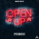 Cover of Open Up