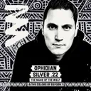 Silver .22 (The Name Of The Wolf) by Ophidian - Hardcore cover art