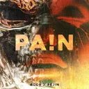 Cover of PA!N