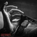 Cover of Panties - Darksiderz x CGK Remix