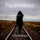 Life Without by Parametricz - Hardstyle cover art