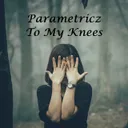 To My Knees by Parametricz - Hardstyle cover art