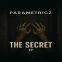 You Don't Wanna (The Secret) by Parametricz - Hardstyle cover art