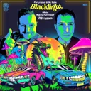 Blacklight - Official BKJN vs. Partyraiser 2024 Anthem by Partyraiser, MC Robs - Uptempo cover art