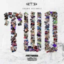 Sound Becomes Two by Partyraiser, Destructive Tendencies - Hardcore cover art