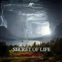 Secret Of Life by Passionate - Hardstyle cover art