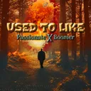 Used To Like by Passionate, Boomer - Hardstyle cover art