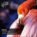 Body Rock - Original by Pat B - Hardstyle cover art