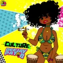 Culture by Pat B - Hardstyle cover art