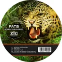 Droppin' It Low by Pat B - Hardstyle cover art