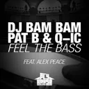 Feel the Bass (Radio Mix) (feat. Alex Peace) by Pat B, DJ Bam Bam, Q-ic - Hardstyle cover art